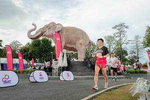 BIB: 
                            <button type="button" onclick="openModal(26528445)" class="btn btn-primary btn-sm float-right btn-popup" data-toggle="modal" data-target=".modal-high-quality">
                        <i class="fas fa-shopping-cart"></i> Add to Cart
                    </button>
                                            <button type="button" onclick="isThisMe(26528445, true)" class="btn btn-success btn-sm float-right btn-popup btn-isme hidden" data-toggle="tooltip" data-placement="bottom" title="นี่คือรูปของคุณใช่ไหม คลิกที่นี่เพื่อเอาเข้าอัลบั้ม">
                        <i class="fas fa-plus"></i> Add to album
                    </button>
                    <button type="button" onclick="isThisMe(26528445, false)" class="btn btn-warning btn-sm float-right btn-popup btn-isnotme hidden">
                        <i class="fas fa-ban"></i> Remove from album
                    </button>